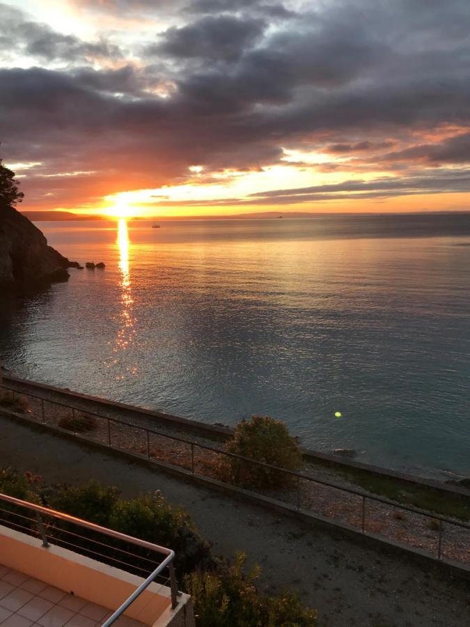 Appartement Cosy Les Pieds Dans L'Eau, Vue Mer Exceptionnelle Crozon Exterior photo
